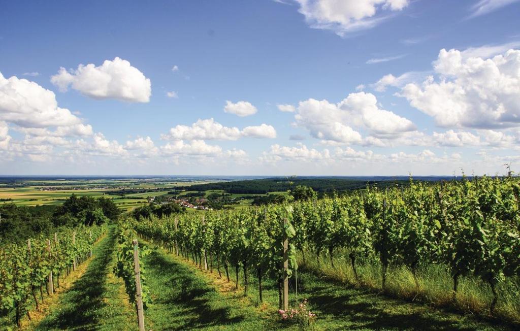 Kellerstoeckl Weinblick I Und II Villa Eisenberg an der Pinka Eksteriør bilde