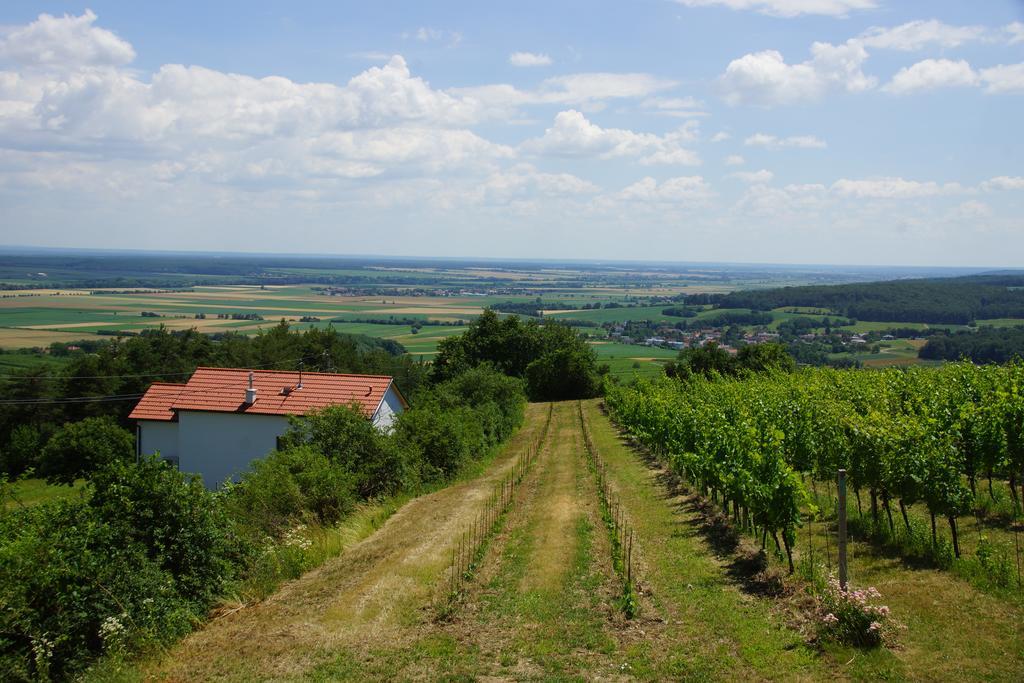 Kellerstoeckl Weinblick I Und II Villa Eisenberg an der Pinka Eksteriør bilde